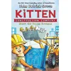 Kitten Construction Company: Meet the House Kittens