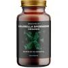 BrainMax Chlorella Spermidine Organic Število kapsul: 500 tablet