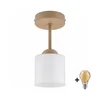 BRILAGI - LED plafonski luster RETRO GLASS 1xE27/60W/230V prečnik 10 cm bež/bela