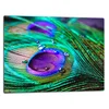 shumee Rezalna ploa steklene ploe 52x40