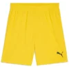 Kratke hlače Puma teamGOAL hort
