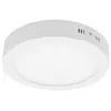 LED okrugla nadgradna panel svetiljka 24W 6400K dnevno svetlo 300mm LNP-O-24/W-B