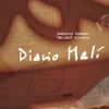 Ludovico Einaudi & Ballaké Sissoko - Diario Mali (Deluxe Edition) (Coloured) (2 LP)