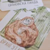 Its a moms world Edukativne kartice za decu Divlje životinje sveta, 70 komada