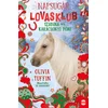 Napsugár Lovasklub 4. - Szabina és a karácsonyi póni