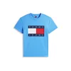 Tommy Jeans Majica mornarska/azur/rdeča/bela