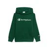 Champion Majica temno zelena / bela