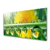 tulup.si Slika na akrilnem steklu Stem dew drops rastlin 100x50 cm 2 obešalnika