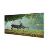 tulup.si Slika na akrilnem steklu Deer jesenski gozd 125x50 cm 4 obešalnika