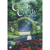 Candy Candy. Il romanzo completo
