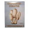 Sušeni prah Coprinus comatus gljive 50g, DH
