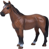 Mojo Trakehner konj