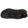 Adidas Muške cipele Terrex Skychaser ax5 gtx, Crne