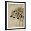 Plakat s paspartujem vrtnice v vazi v sepia varianti - 30x45 white