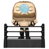 Bobble Figure WWE POP! - Triple H (Ring Entrance) #192