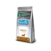 Vet Life Suva hrana za odrasle pse Diabetic dog, 2kg