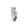Siemens Odklopnik 1P C 16A 6kA AC SENTRON 5SL6116-7