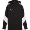 Mikica kapuco Puma teamEvotripe Hoody