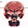 Grooverider - Grooverider Presents The Prototype Years (Limited Edition) (Red Coloured) (2 LP)