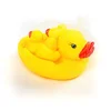 HK Mini igračka patka i pačići u mreži