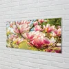 tulup.si Steklena slika Roza magnolija 120x60 cm 4 obešalnika