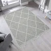 CONCEPTUM HYPNOSE Tepih (160x230) Sh 02 Grey