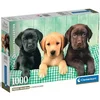 Tri majhni labradorci 1000-delna HQC sestavljanka s posterjem - Clementoni