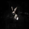 Ghostkid - Follow The White Rabbit (Digipak) (Limited Edition) (CD)