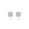 BLUSH 7241YZI