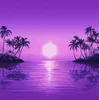 Purple Disco Machine - Paradise (2 LP)