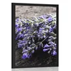 Plakat šopek iz sivke - 40x60 no frame
