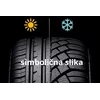 Nexen Roadian CT8 ( 205/65 R16 107/105T 8PR )