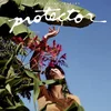 Aoife Nessa Frances - Protector (LP)
