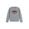 TOMMY HILFIGER Pulover siva/temno rdeča