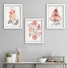 Wallity Set uramljenih slika SET_200, 3 dijela