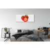tulup.si Slika na platnu Jagode na belem ozadju 140x70 cm