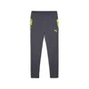 Mens Puma Individual CUP Football Pants, Gray, Size M, Sport
