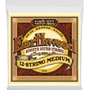 Ernie Ball 2051 Earthwood 12-string 80/20 Bronze Silk&Steel žice za 12-žičanu akustičnu gitaru