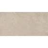 ARENITE NATURAL 60x60