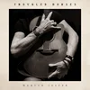 Martyn Joseph - Troubled Horses (LP)