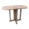 Vrtna raztegljiva miza Garden Pleasure Solo, 120 x 60 cm