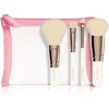 BrushArt Basic On-the-go Glam mini make-up brush set potovalni set čopičev s torbico(mini)