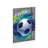 Scool Fascikla Football, A4, Hologram efekat, Šarena