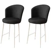 Hanah Home Set barskih stolica Fora, 2 komada, Crno-beli