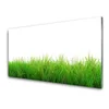 tulup.si Slika na steklu Grass nature rastlin 100x50 cm 2 obešalnika