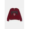 Otroški pulover United Colors of Benetton bordo barva, 32N4C10PQ