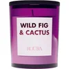Roura 333234.263 Dišeča sveča Wild Fig & Cactus