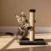 Paws & Whiskers Grebalica za mačke, Crna