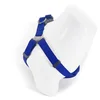 Paws & Whiskers Am za pse Step-in, Plavi