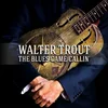 Walter Trout - The Blues Came Callin (180 g) (2 LP)